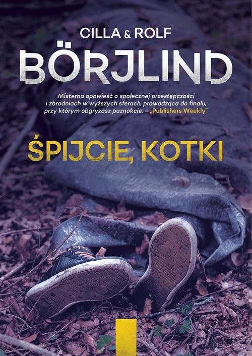 okładka Śpijcie, kotki książka | Cilla Borjlind, Rolf Borjlind