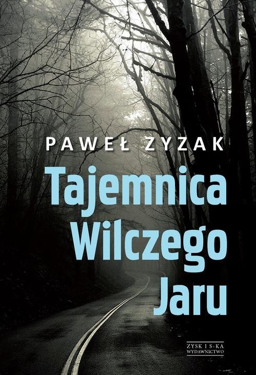 okładka Tajemnica Wilczego Jaru książka | Paweł Zyzak