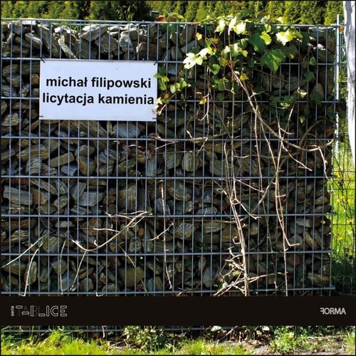 okładka Licytacja kamienia książka | Michał Filipowski