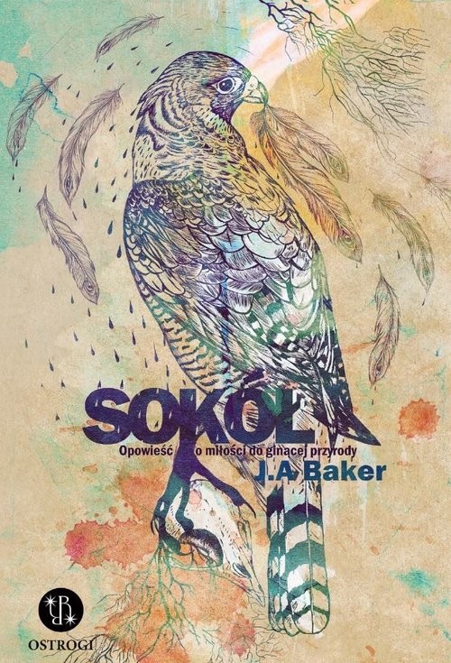 okładka Sokół Opowieść o miłości do ginącej przyrody książka | Baker JohnAlec