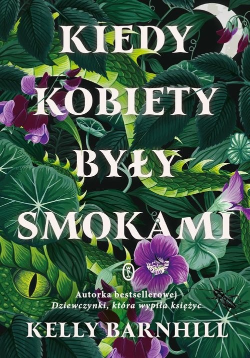 okładka Kiedy kobiety były smokami książka | Kelly Barnhill