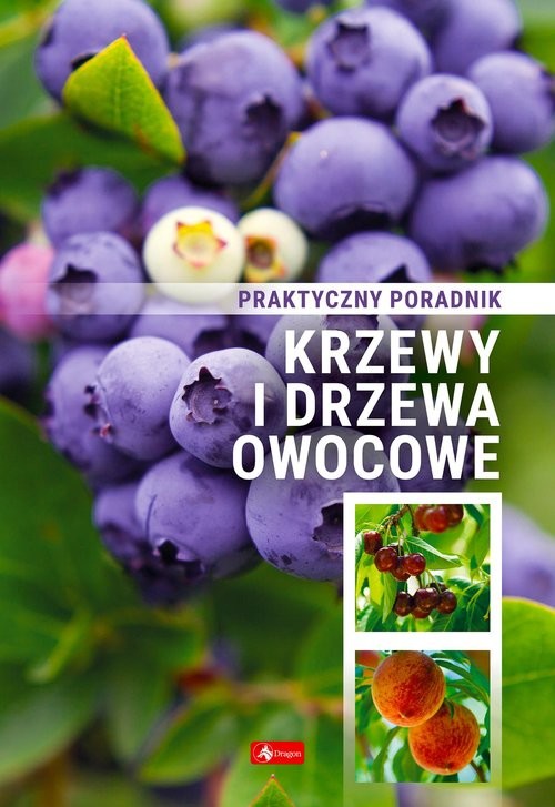 okładka Krzewy i drzewa owocowe Poradnik praktyczny książka