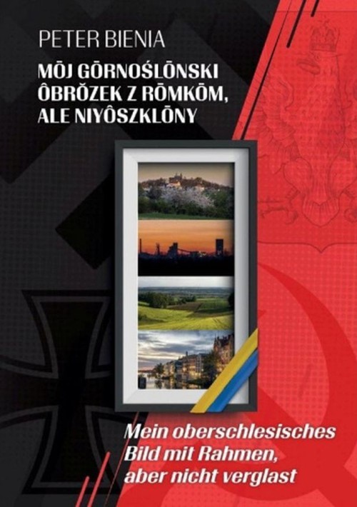 okładka Moj gornoślonski ôbrozek z romkom, ale niyôszklony książka | Peter Bienia