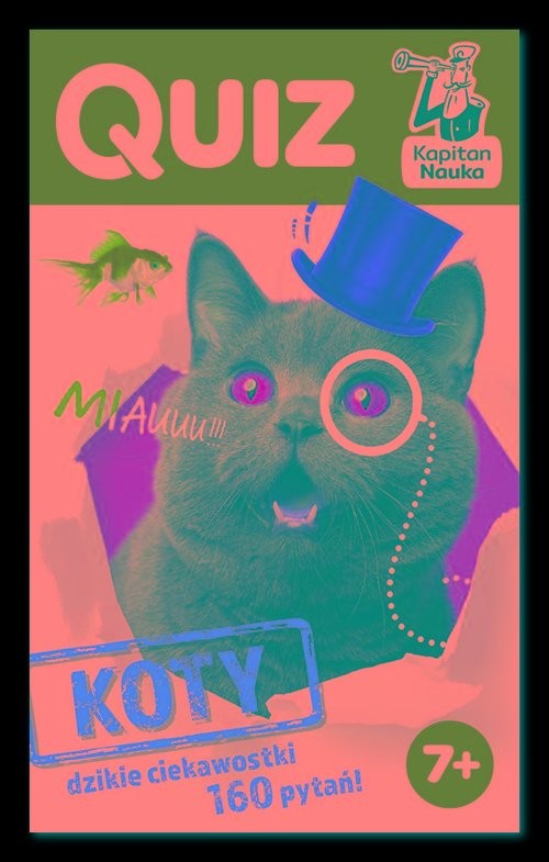 okładka Quiz Koty książka | Małgorzata Biegańska-Hendryk
