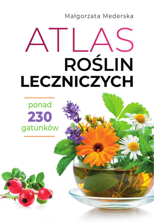 okładka Atlas roślin leczniczych książka | Mederska Małgorzata