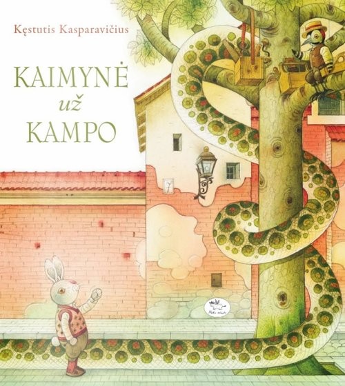 okładka Długaśna sąsiadka książka | Kasparavičius Kęstutis