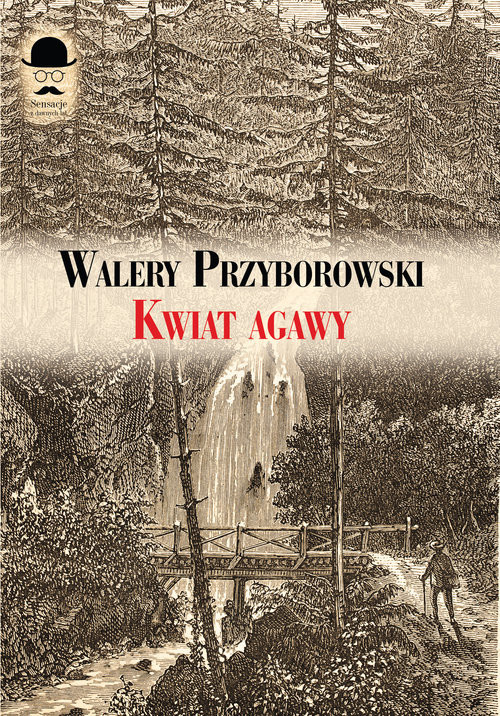 okładka Kwiat agawy książka | Walery Przyborowski