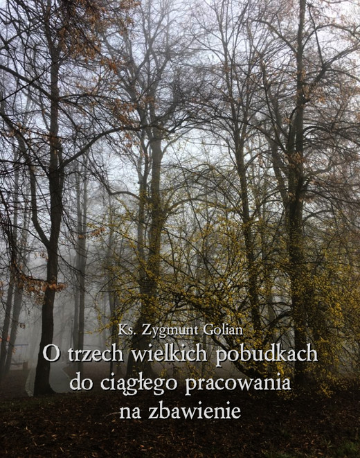 okładka O trzech wielkich pobudkach do ciągłego pracowania na zbawienie ebook | epub, mobi | Zygmunt Golian