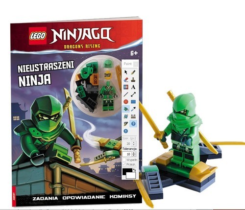 okładka Lego Ninjago Nieustraszeni Ninja książka