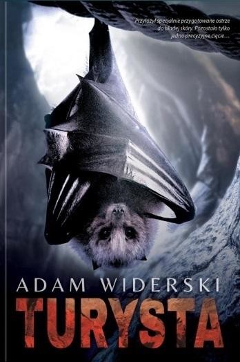 okładka Turysta książka | Adam Widerski