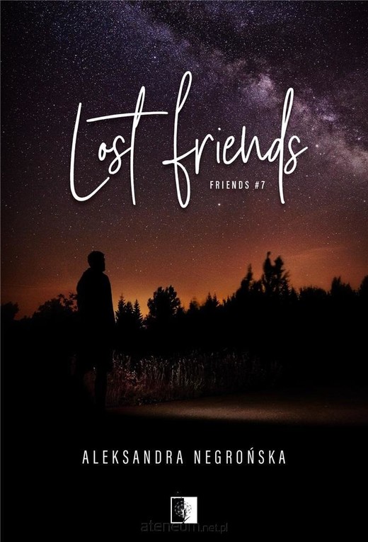 okładka Lost Friends t.7 książka | Aleksandra Negrońska
