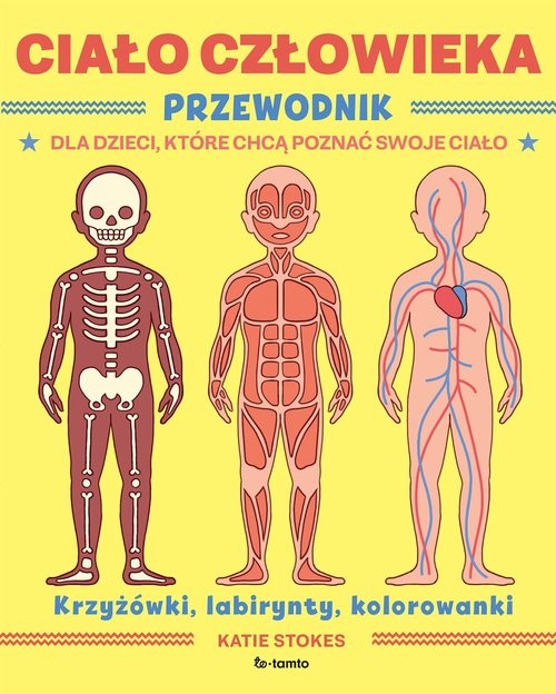 okładka Ciało człowieka Przewodnik dla dzieci, które chcą poznać swoje ciało książka | Katie Stokes