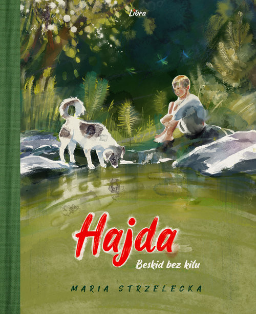 okładka Hajda Beskid bez kitu książka | Strzelecka Maria