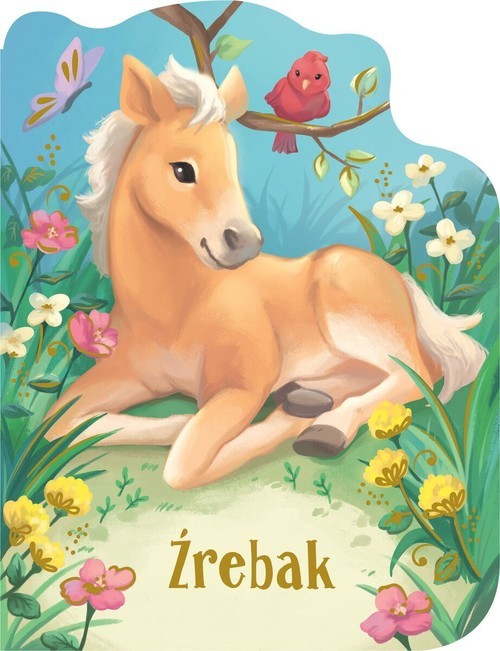 okładka Źrebak książka