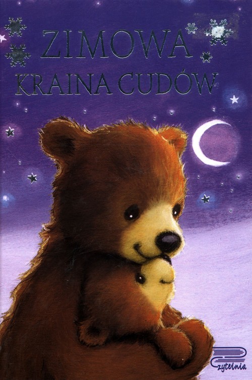 okładka Zimowa kraina cudów książka