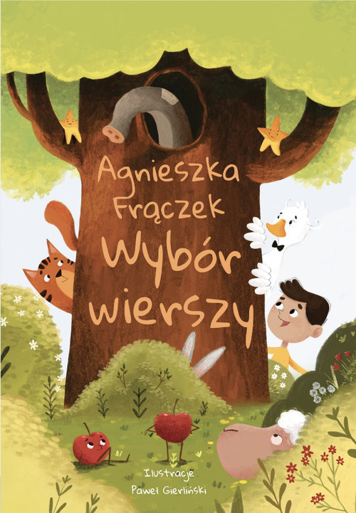 okładka Wybór wierszy książka | Agnieszka Frączek