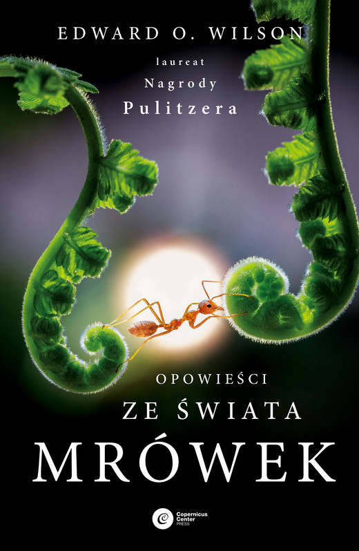 okładka Opowieści ze świata mrówek książka | Wilson EdwardO.