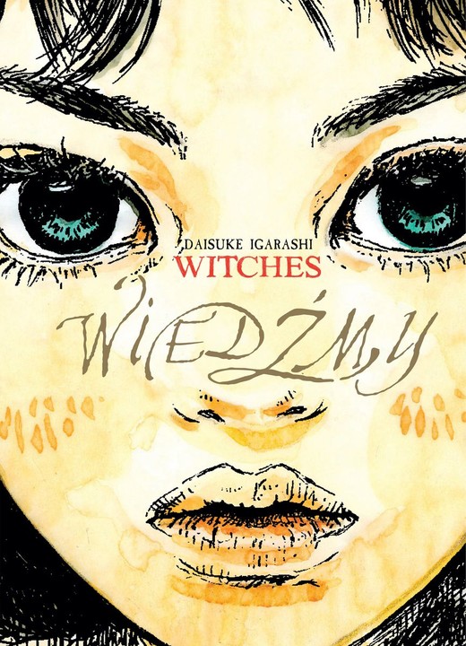 okładka Wiedźmy książka | Igarashi Daisuke