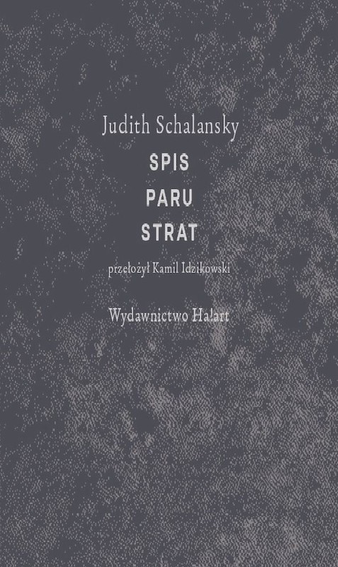 okładka Spis paru strat książka