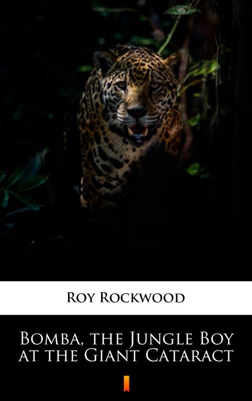 okładka Bomba, the Jungle Boy at the Giant Cataract ebook | epub, mobi | Roy Rockwood
