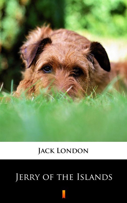 okładka Jerry of the Islands ebook | epub, mobi | Jack London