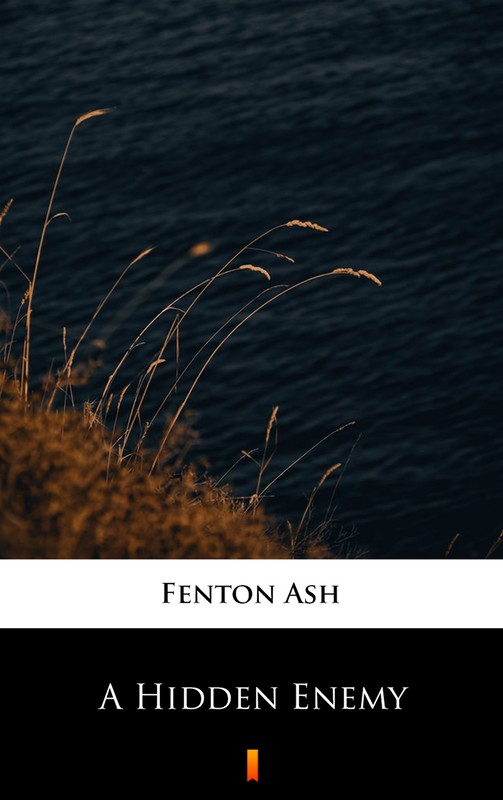okładka A Hidden Enemy ebook | epub, mobi | Fenton Ash