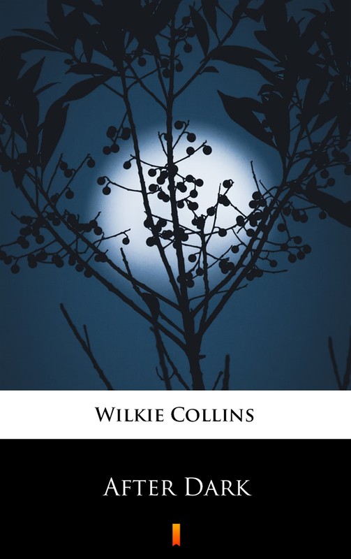 okładka After Dark ebook | epub, mobi | Wilkie Collins