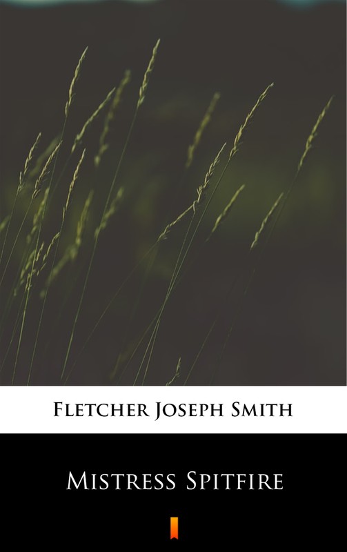 okładka Mistress Spitfire ebook | epub, mobi | Joseph Smith Fletcher