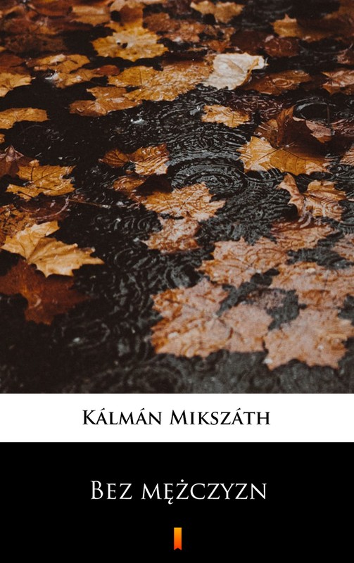 okładka Bez mężczyzn ebook | epub, mobi | Kálmán Mikszáth