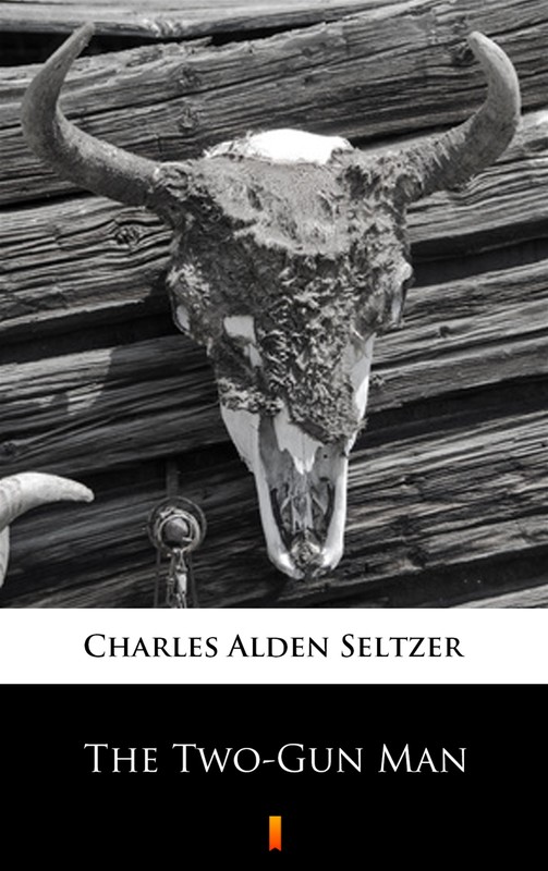 okładka The Two-Gun Man ebook | epub, mobi | Charles Alden Seltzer
