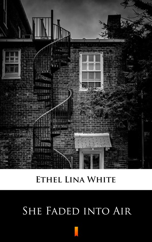 okładka She Faded into Air ebook | epub, mobi | Ethel Lina White