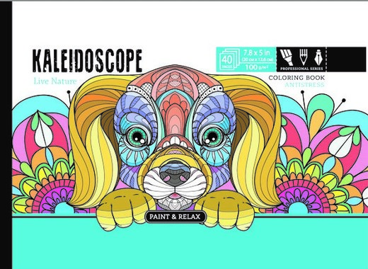 okładka Kolorowanka antystresowa 200x126 20 kartek TW Kaleidoscope książka
