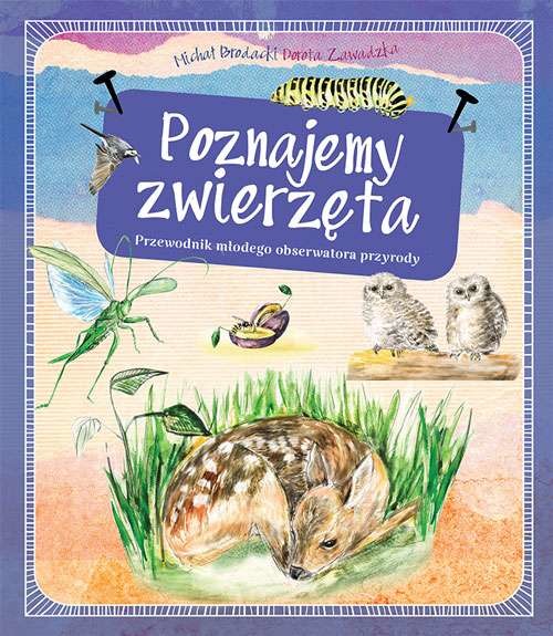 okładka Poznajemy zwierzęta przewodnik młodego obserwatora przyrody książka | Brodacki Michał