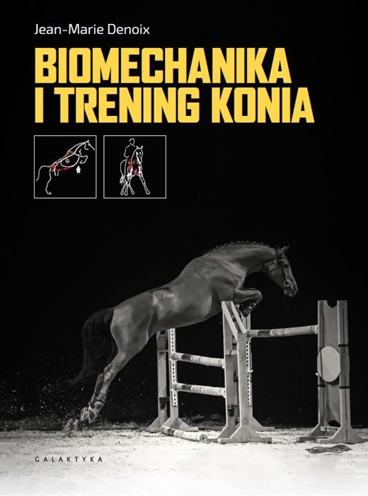 okładka Biomechanika i trening konia książka