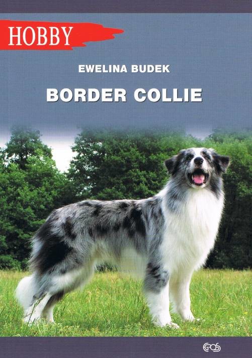 okładka Border Collie wyd. 2 książka | Ewelina Budek