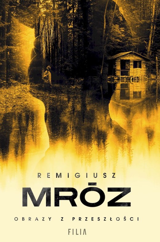 okładka Obrazy z przeszłości wyd. kieszonkowe książka | Remigiusz Mróz