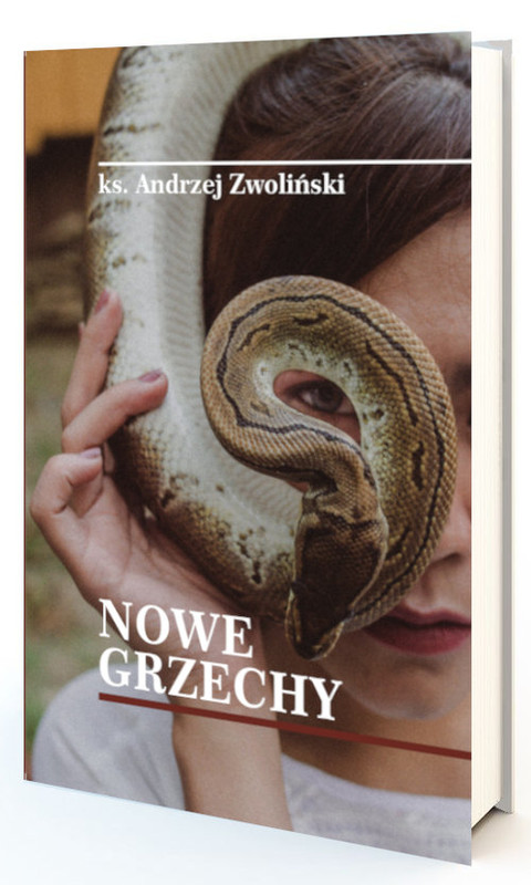 okładka Nowe grzechy książka