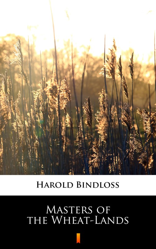 okładka Masters of the Wheat-Lands ebook | epub, mobi | Harold Bindloss