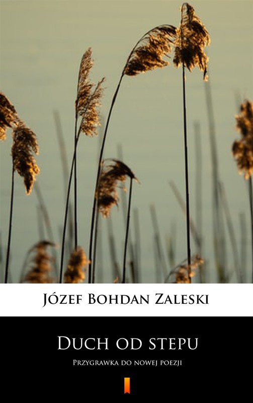 okładka Duch od stepu ebook | epub, mobi | Józef Bohdan Zaleski