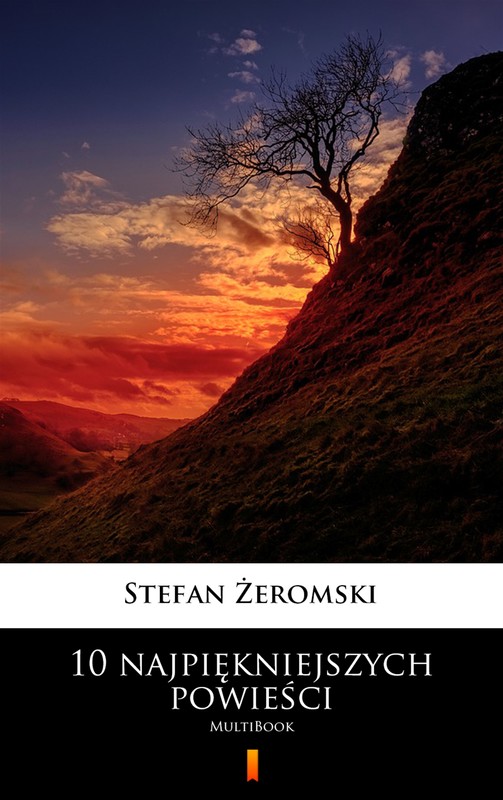 okładka 10 najpiękniejszych powieści ebook | epub, mobi | Stefan Żeromski