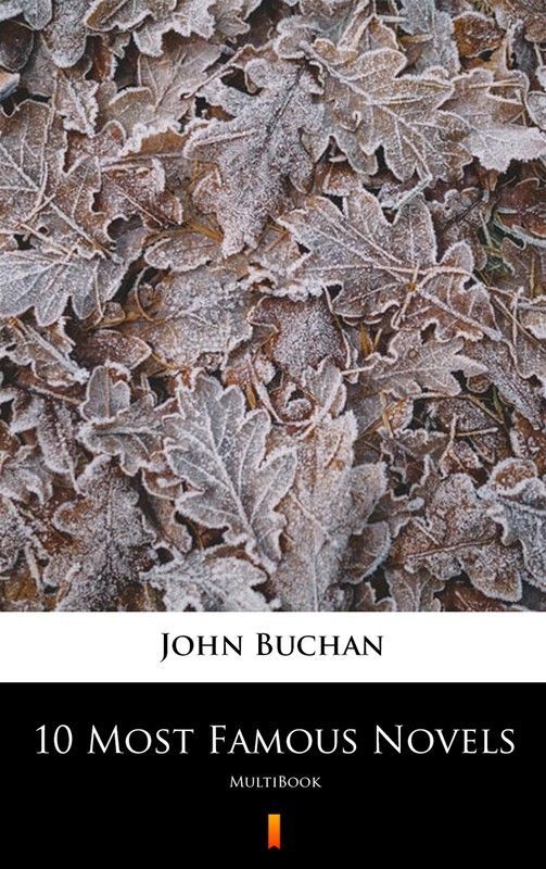 okładka 10 Most Famous Novels ebook | epub, mobi | John Buchan