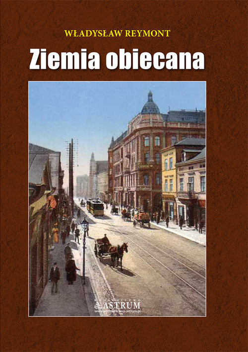 okładka Ziemia obiecana. książka