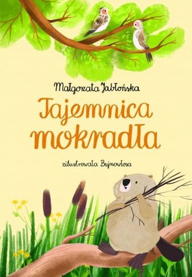 okładka Tajemnica mokradła książka | Małgorzata Jabłońska
