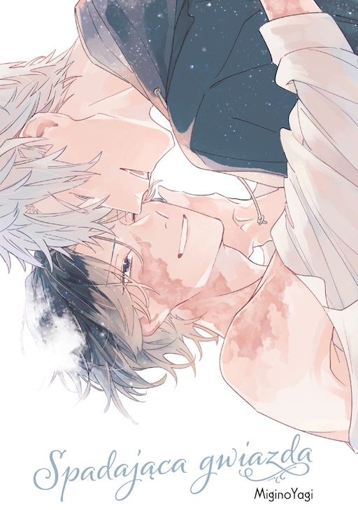 okładka Spadająca gwiazda książka