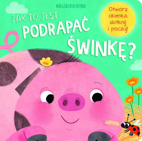 okładka Jak to jest podrapać świnkę? książka