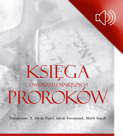okładka Księga Dwunastu Mniejszych Proroków Rabina Cylkowa audiobook | MP3 | Izaak Cylkow