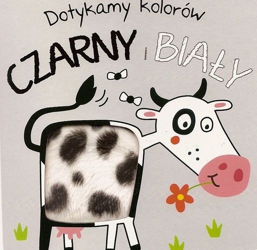 okładka Czarny i biały. Dotykamy kolorów książka