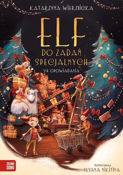okładka Elf do zadań specjalnych książka