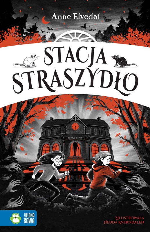 okładka Stacja Straszydło książka