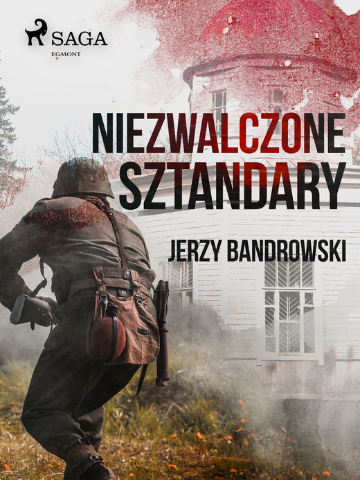 okładka Niezwalczone sztandary ebook | epub, mobi | Jerzy Bandrowski